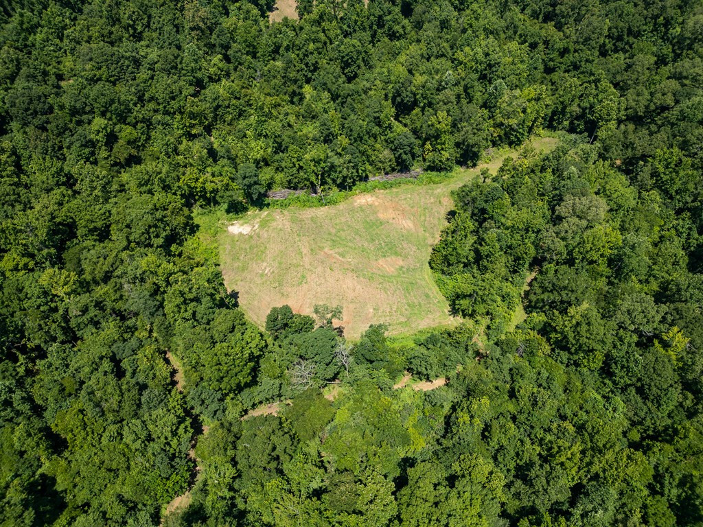 3169 Karnac Ferry Road Property Photo 3