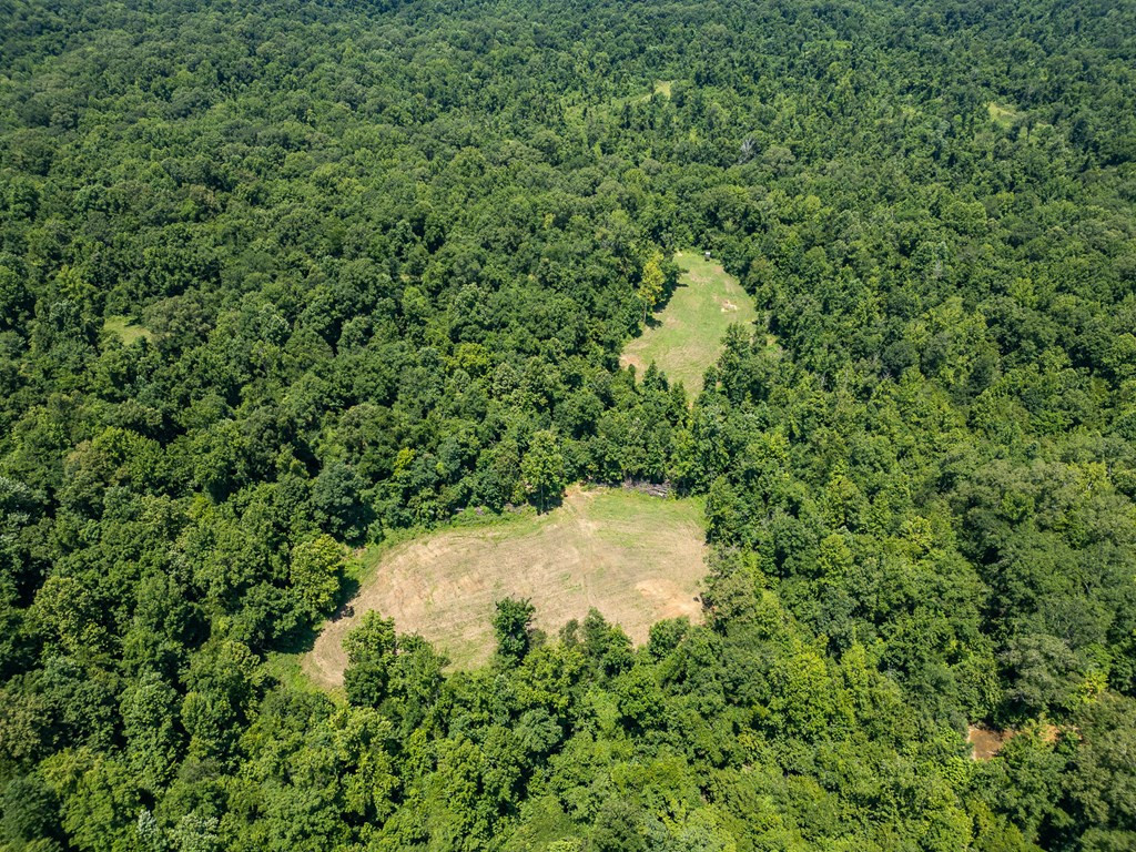 3169 Karnac Ferry Road Property Photo 4