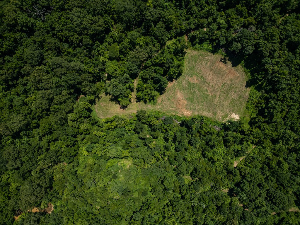 3169 Karnac Ferry Road Property Photo 5