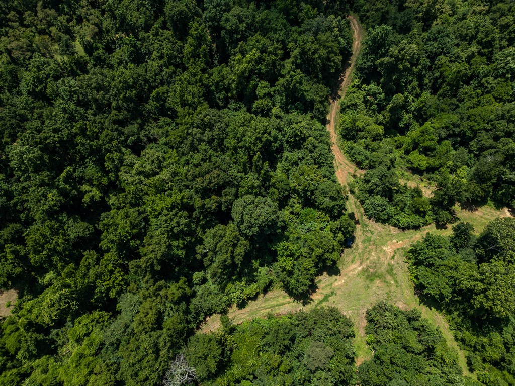 3169 Karnac Ferry Road Property Photo 6