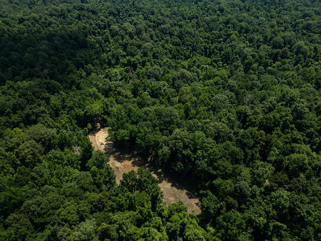 3169 Karnac Ferry Road Property Photo 7