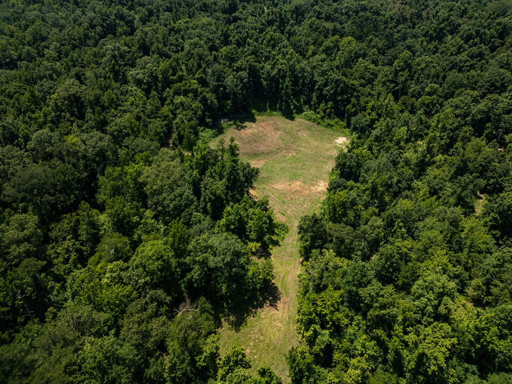 3169 Karnac Ferry Road Property Photo 8