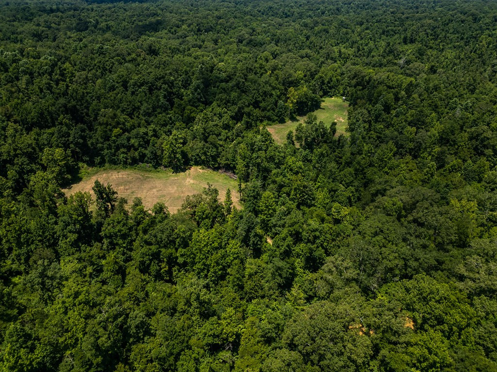 3169 Karnac Ferry Road Property Photo 9