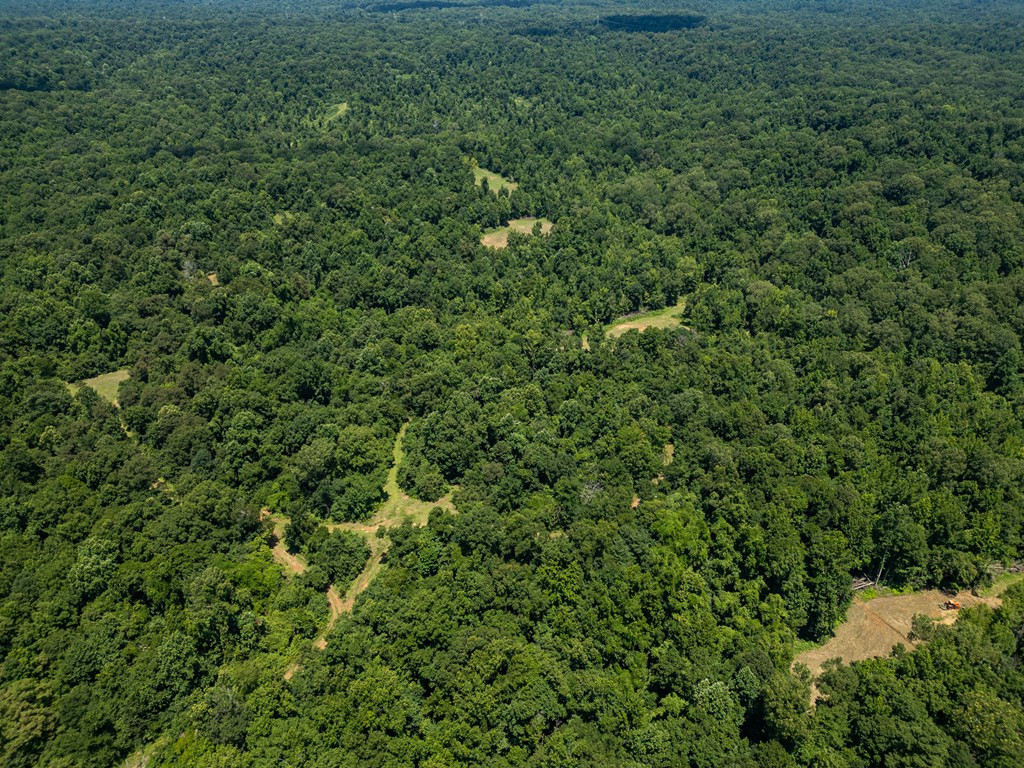 3169 Karnac Ferry Road Property Photo 10