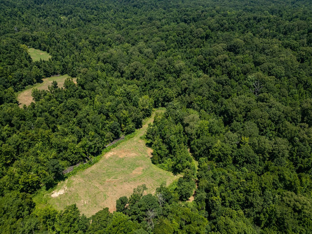 3169 Karnac Ferry Road Property Photo 12