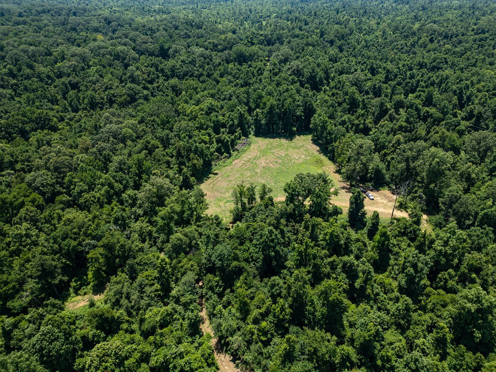 3169 Karnac Ferry Road Property Photo 13