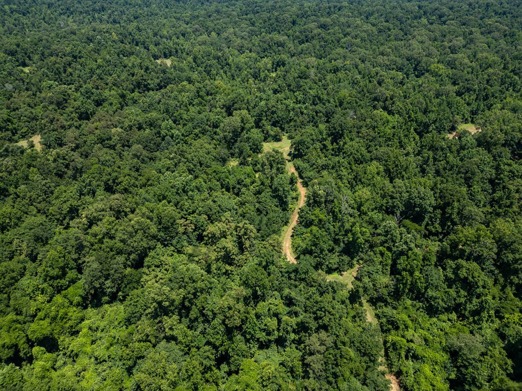 3169 Karnac Ferry Road Property Photo 14