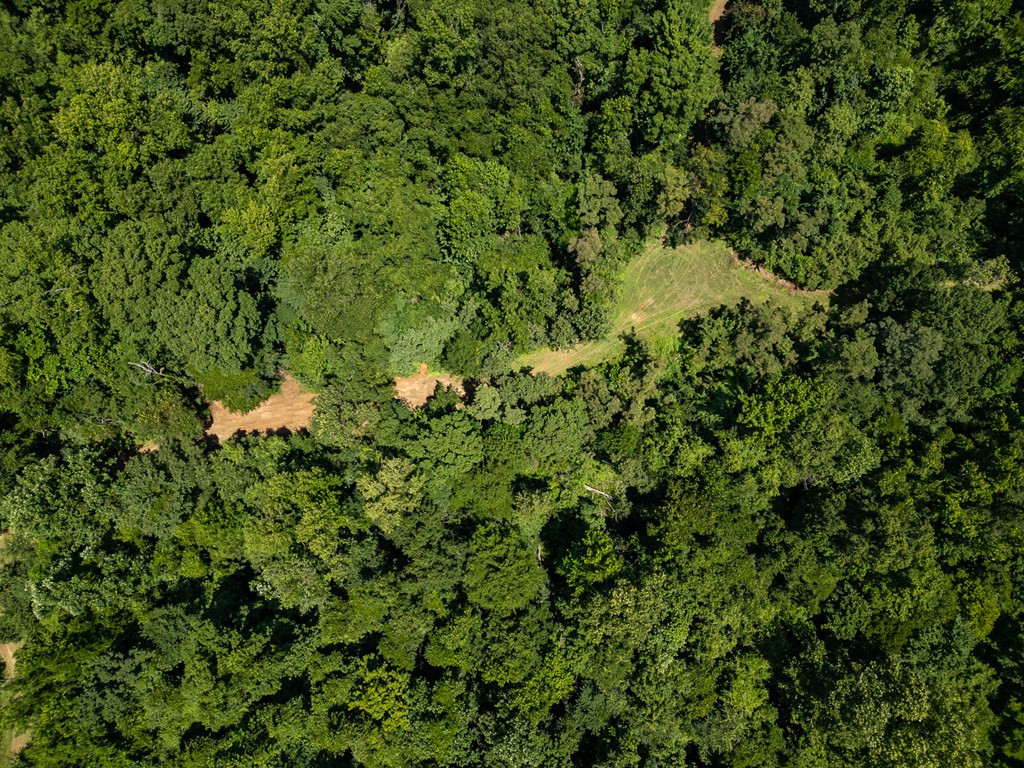 3169 Karnac Ferry Road Property Photo 15