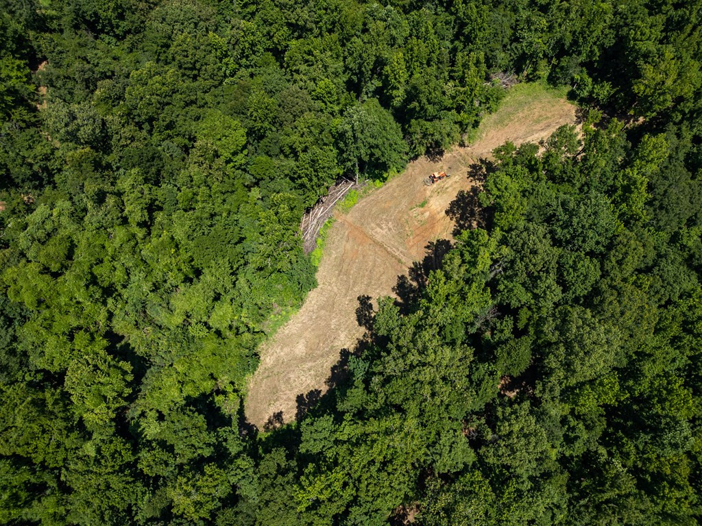 3169 Karnac Ferry Road Property Photo 16