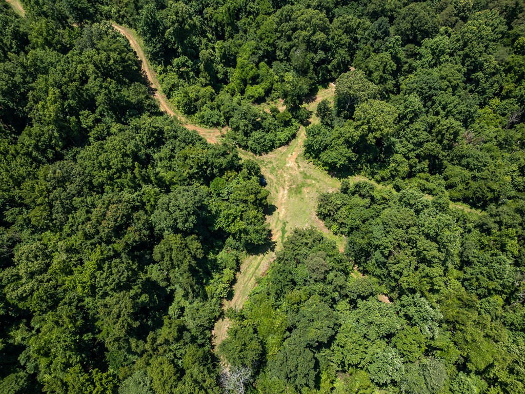 3169 Karnac Ferry Road Property Photo 17