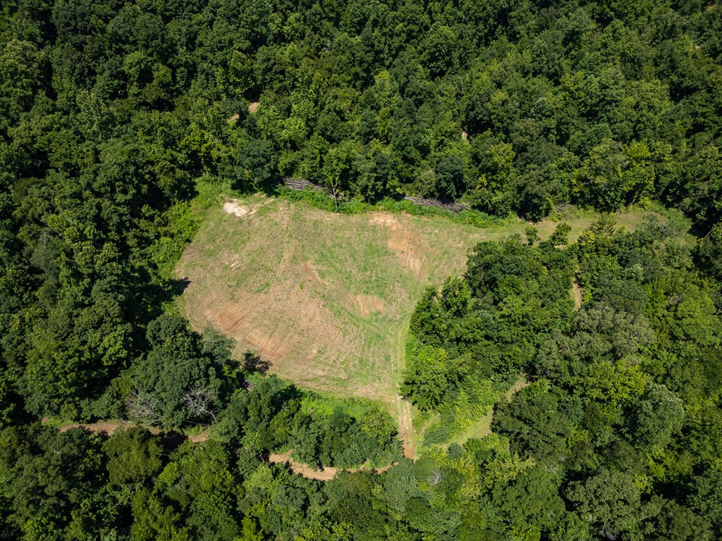 3169 Karnac Ferry Road Property Photo 18