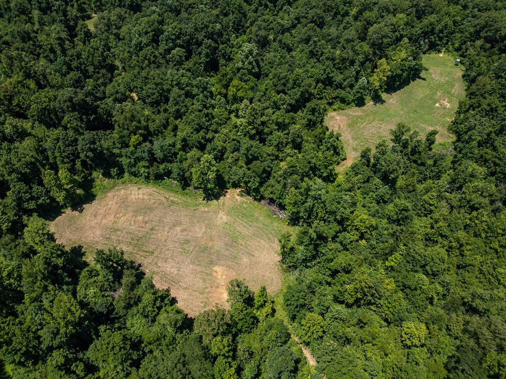 3169 Karnac Ferry Road Property Photo 19