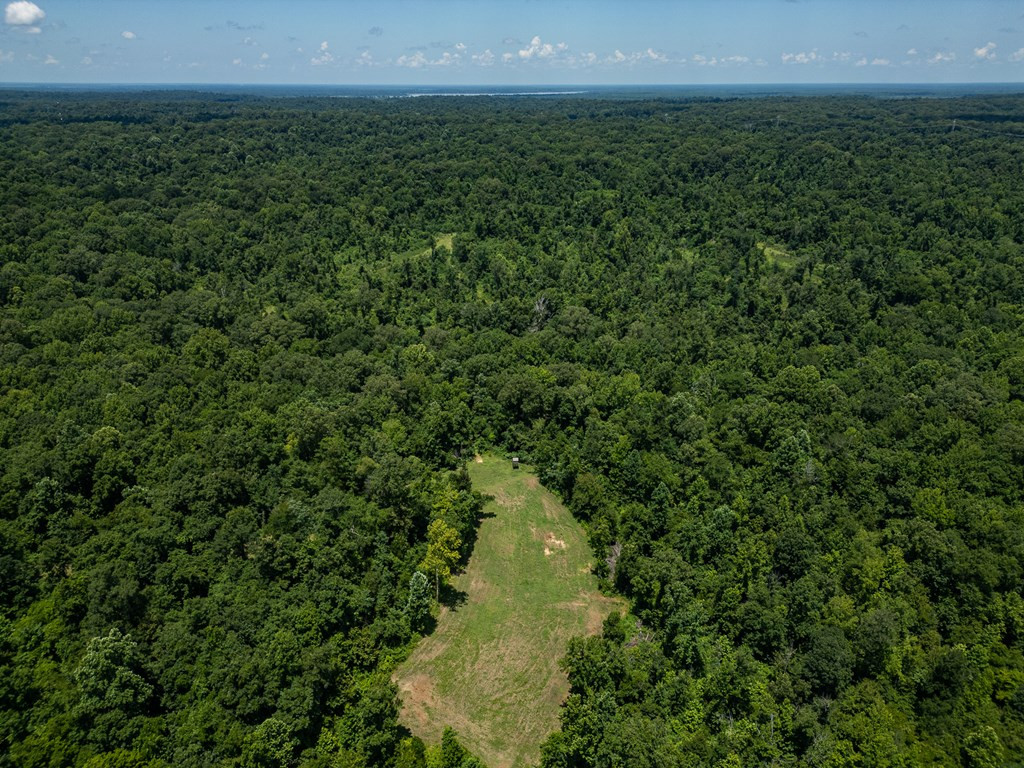 3169 Karnac Ferry Road Property Photo 20