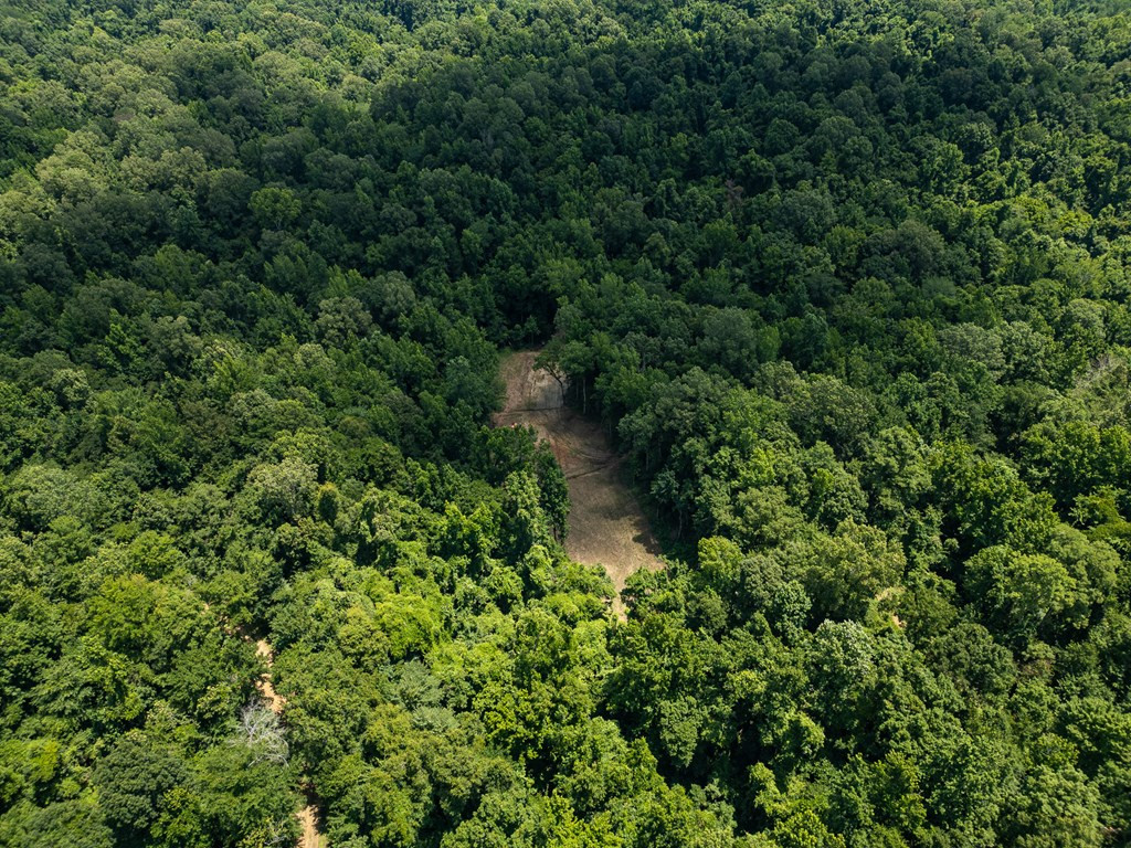 3169 Karnac Ferry Road Property Photo 21