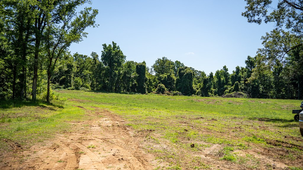 3169 Karnac Ferry Road Property Photo 33