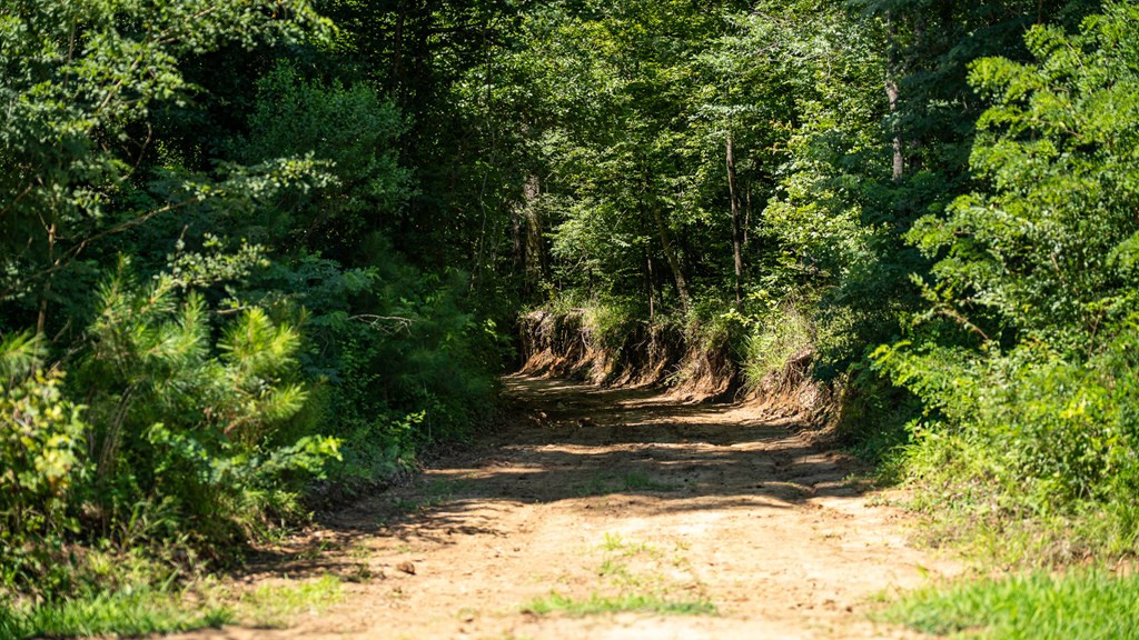 3169 Karnac Ferry Road Property Photo 34