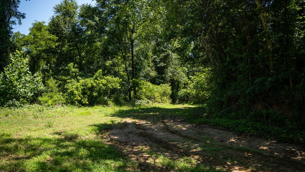 3169 Karnac Ferry Road Property Photo 35