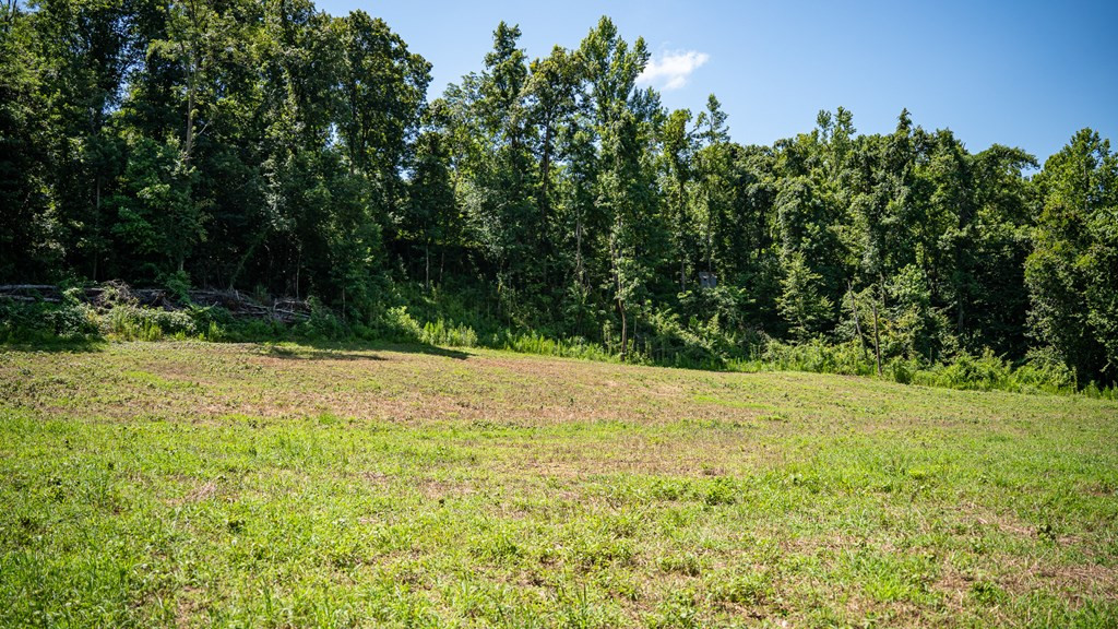 3169 Karnac Ferry Road Property Photo 36