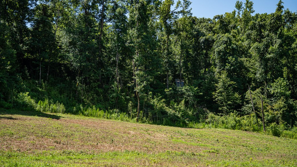 3169 Karnac Ferry Road Property Photo 37