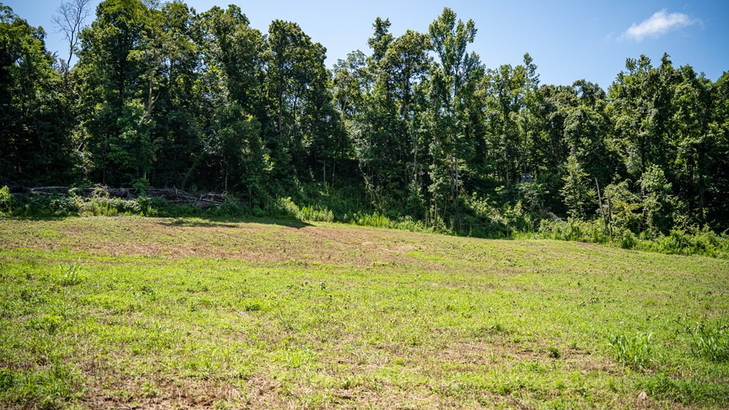 3169 Karnac Ferry Road Property Photo 38