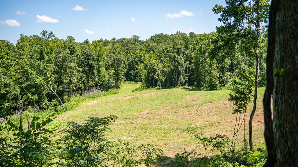 3169 Karnac Ferry Road Property Photo 41