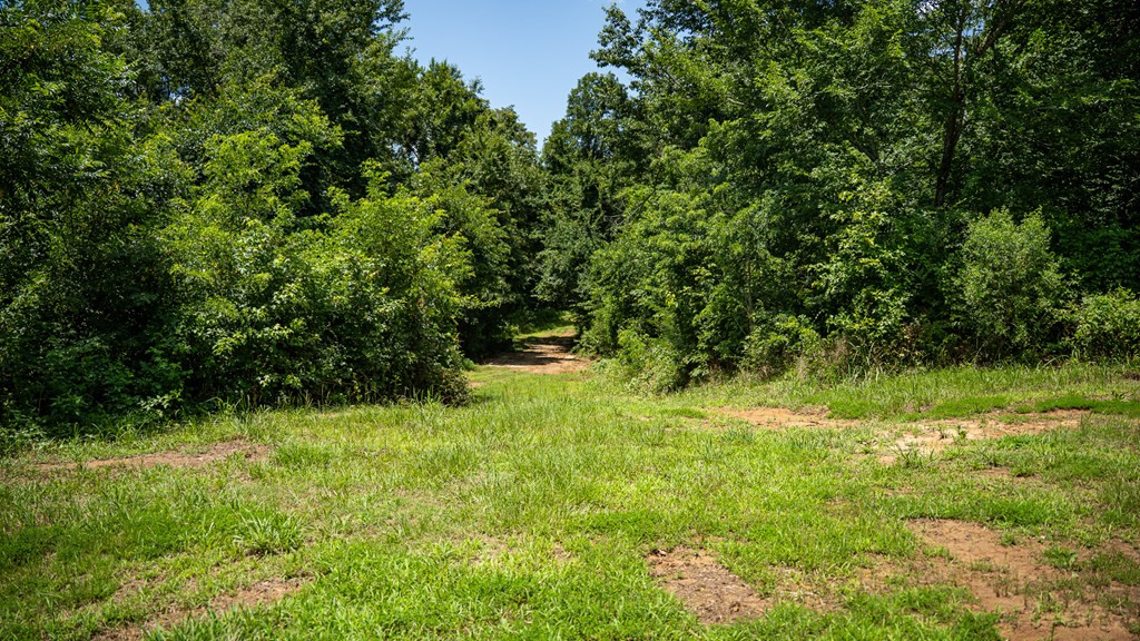 3169 Karnac Ferry Road Property Photo 42