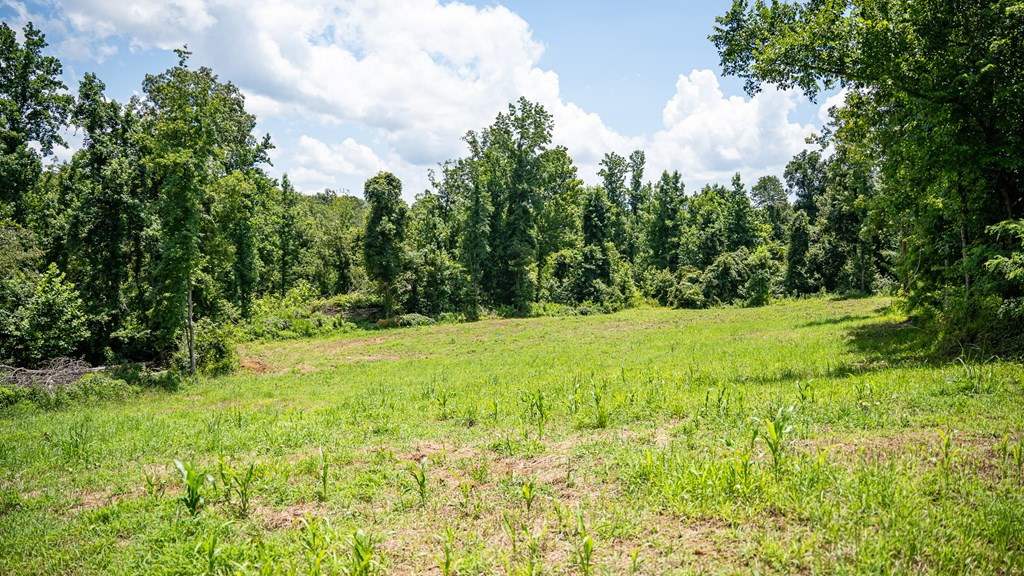 3169 Karnac Ferry Road Property Photo 43