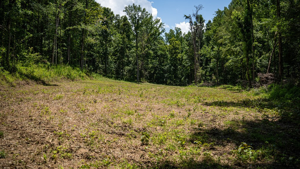 3169 Karnac Ferry Road Property Photo 44