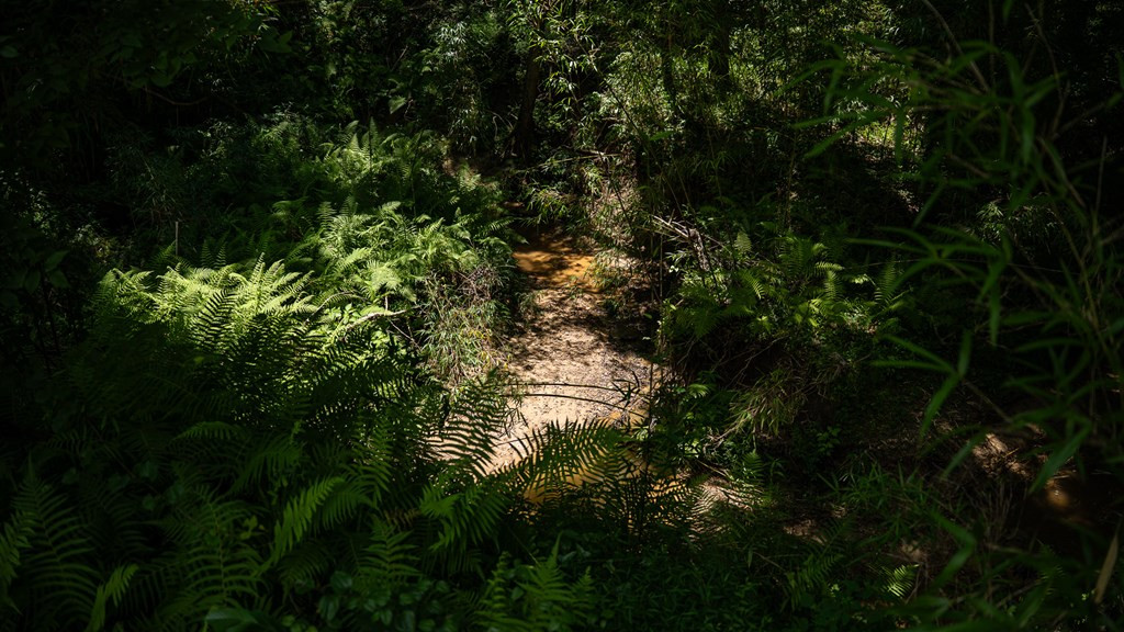 3169 Karnac Ferry Road Property Photo 45