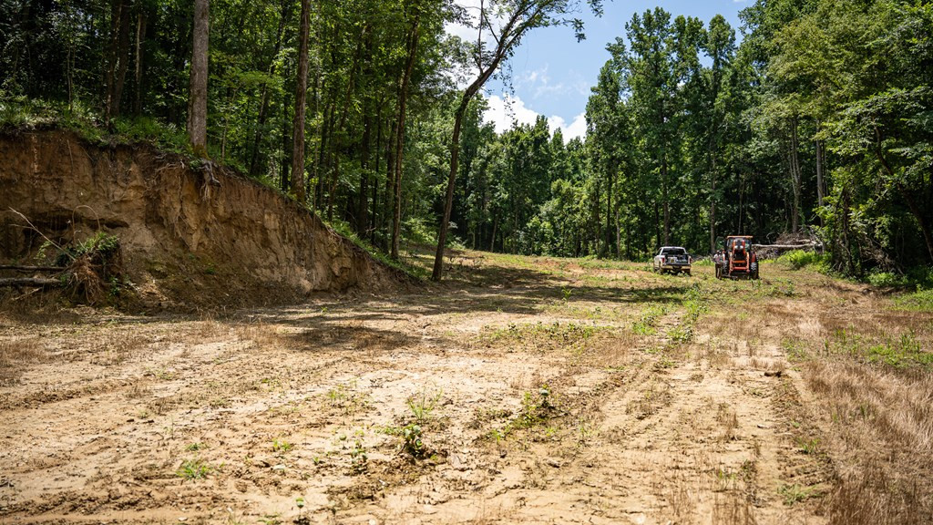 3169 Karnac Ferry Road Property Photo 46