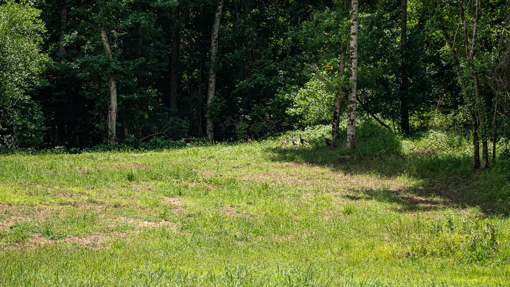 3169 Karnac Ferry Road Property Photo 47