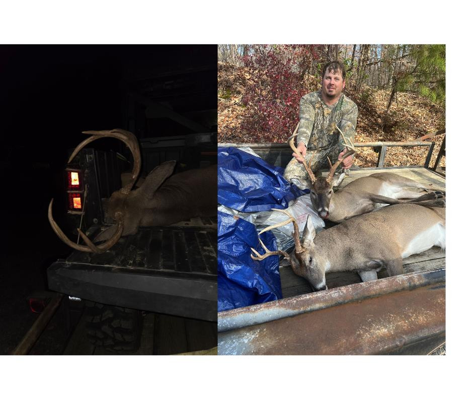 3169 Karnac Ferry Road Property Photo 49