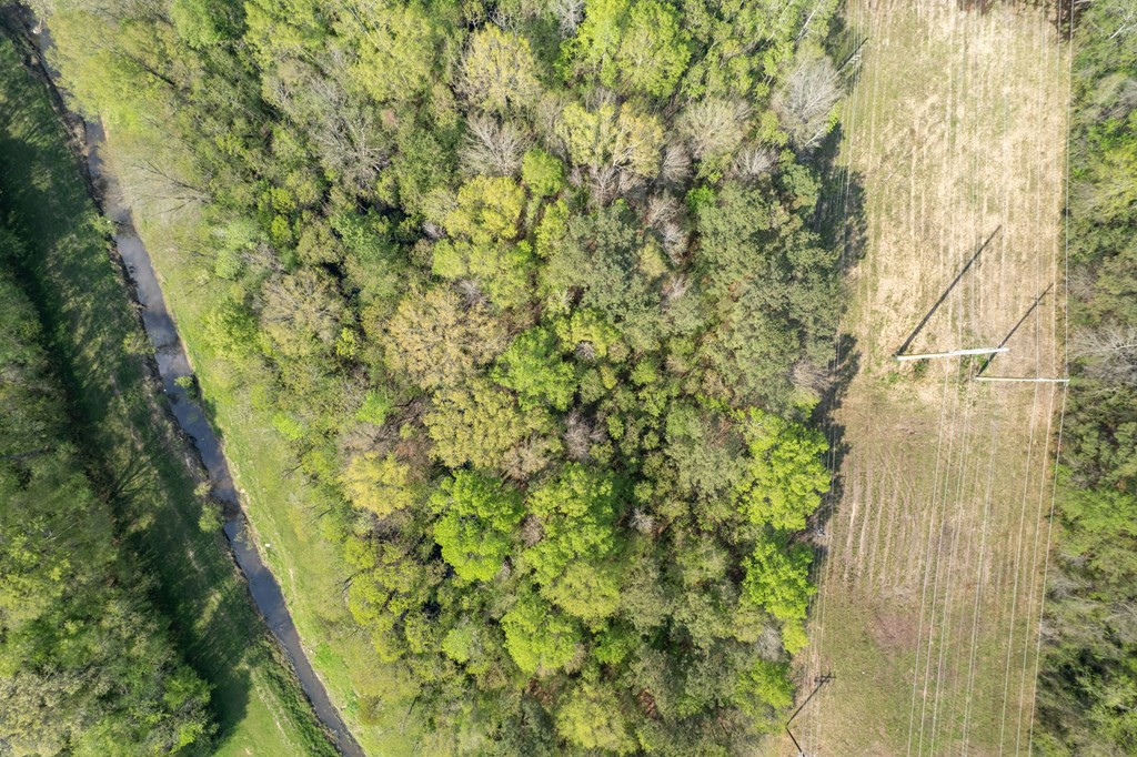 144 Don Curt Boulevard Property Photo 13