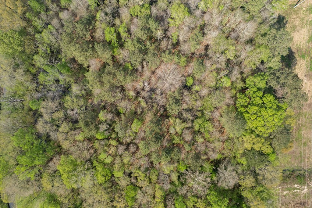 144 Don Curt Boulevard Property Photo 14