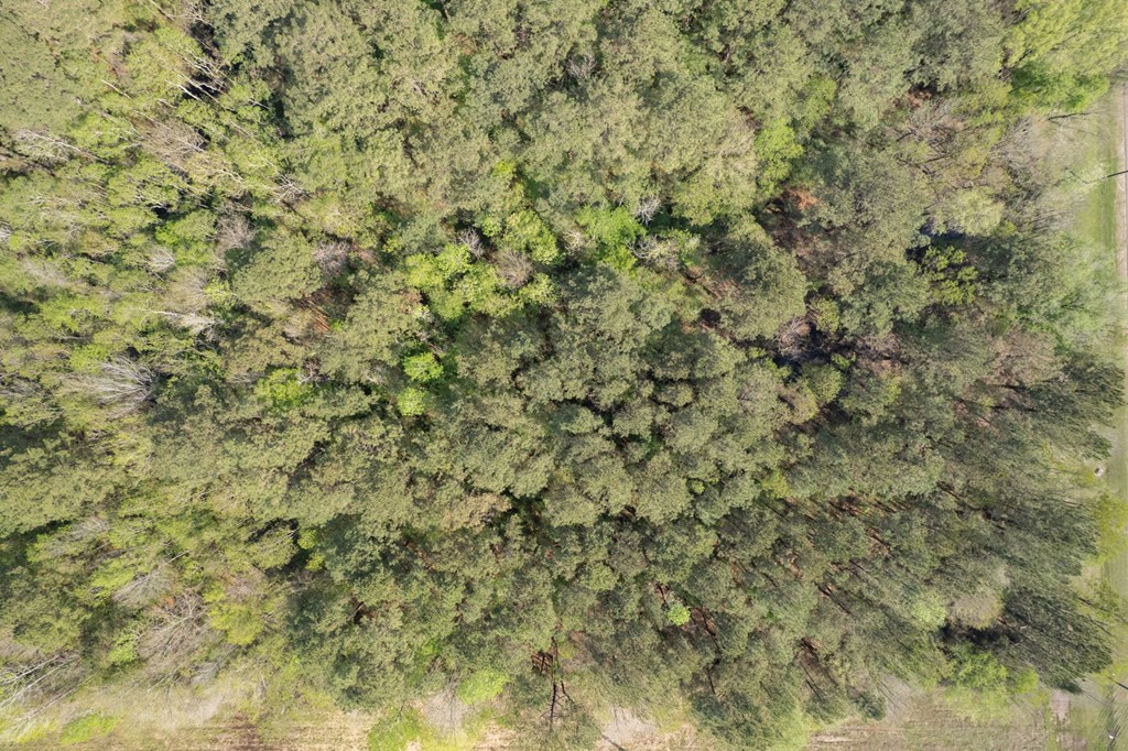 144 Don Curt Boulevard Property Photo 15