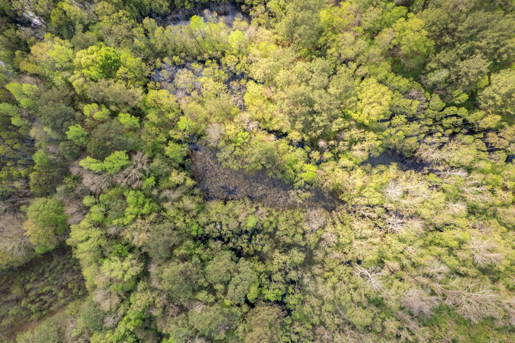 144 Don Curt Boulevard Property Photo 20