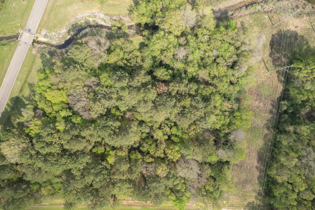 144 Don Curt Boulevard Property Photo 29