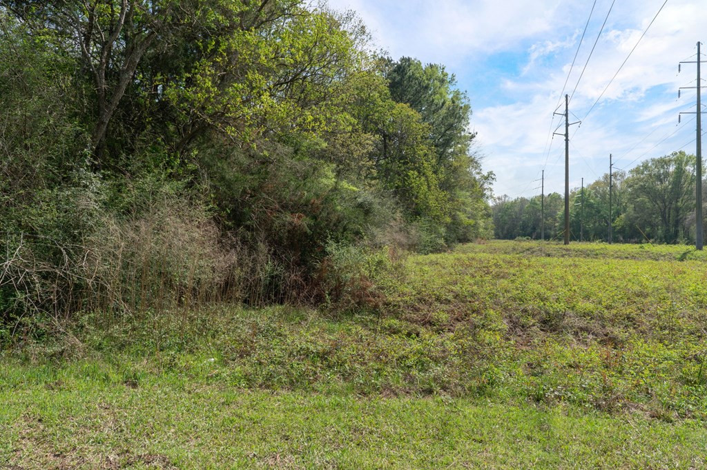 144 Don Curt Boulevard Property Photo 39