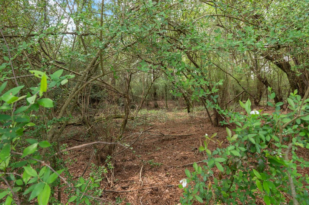 144 Don Curt Boulevard Property Photo 42