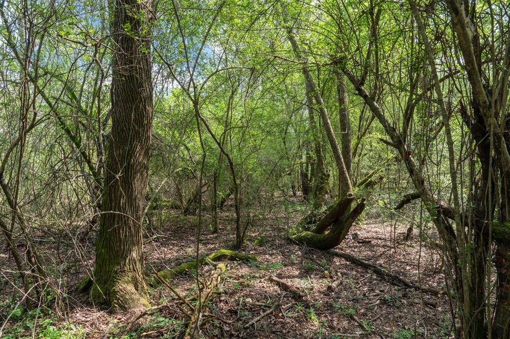 144 Don Curt Boulevard Property Photo 43