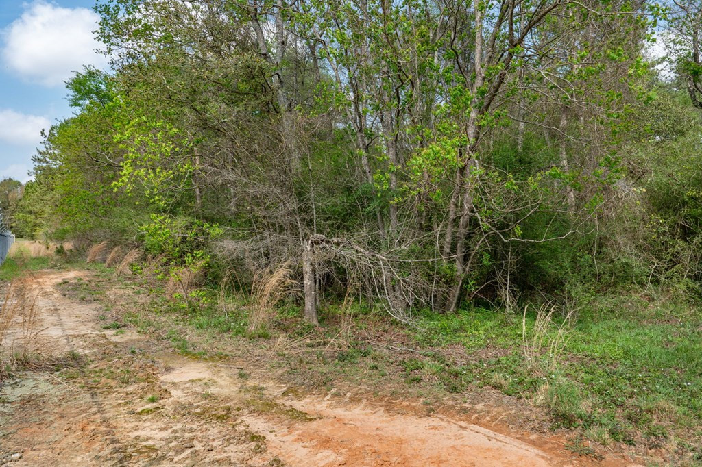 144 Don Curt Boulevard Property Photo 45