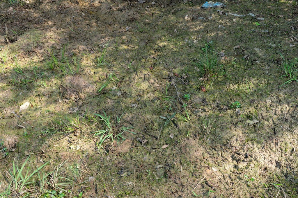 144 Don Curt Boulevard Property Photo 47