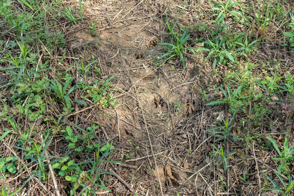 144 Don Curt Boulevard Property Photo 48