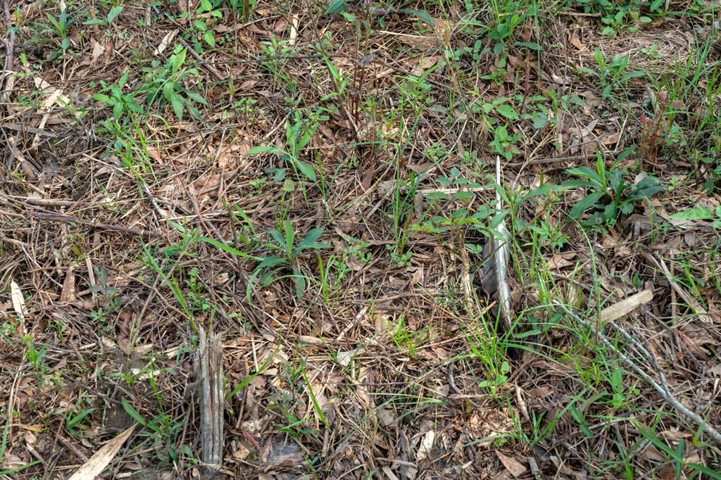 144 Don Curt Boulevard Property Photo 49