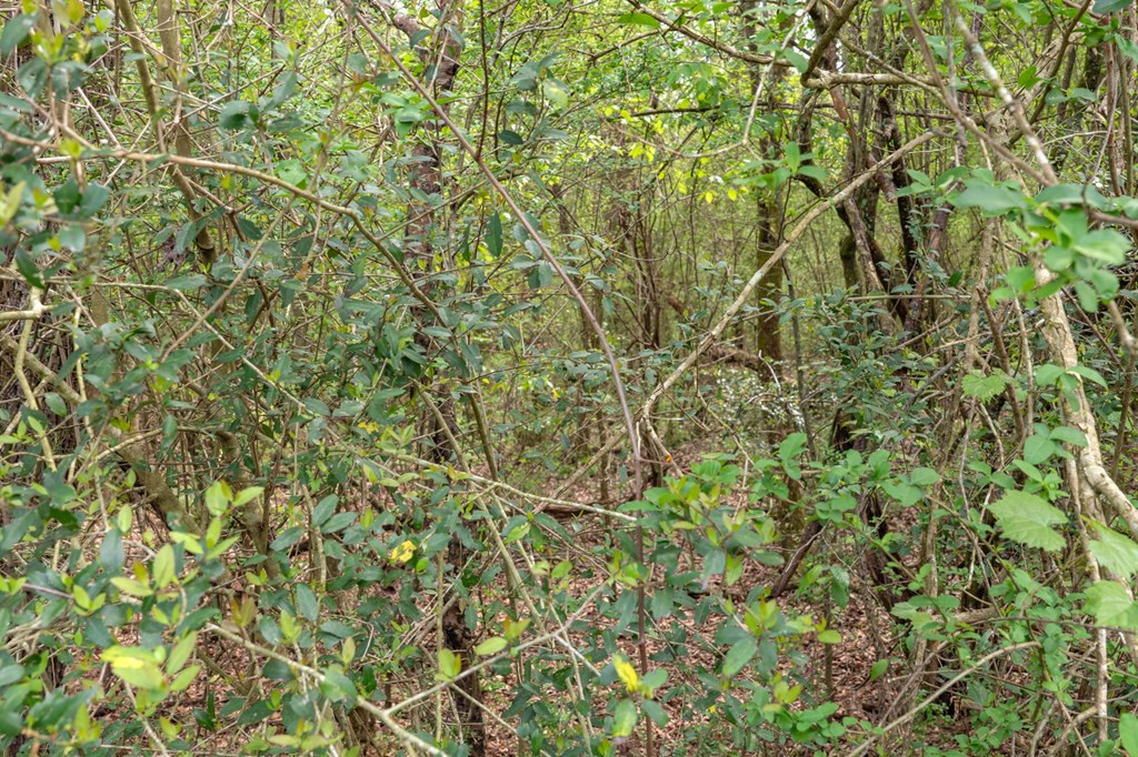 144 Don Curt Boulevard Property Photo 53