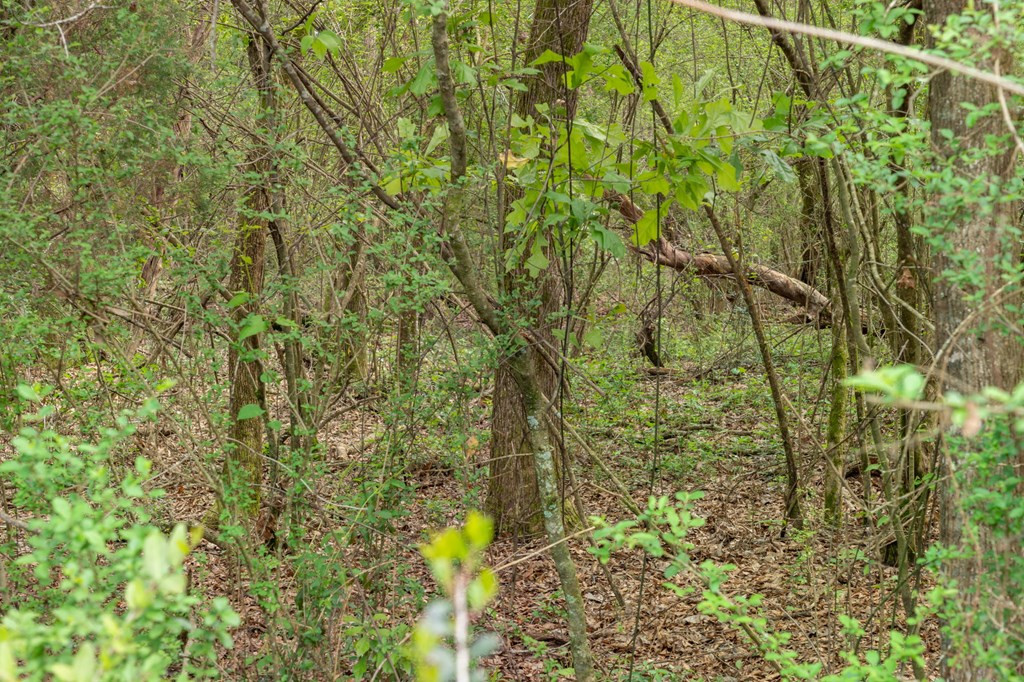 144 Don Curt Boulevard Property Photo 54