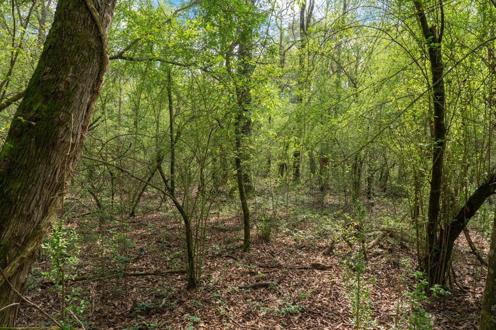 144 Don Curt Boulevard Property Photo 55