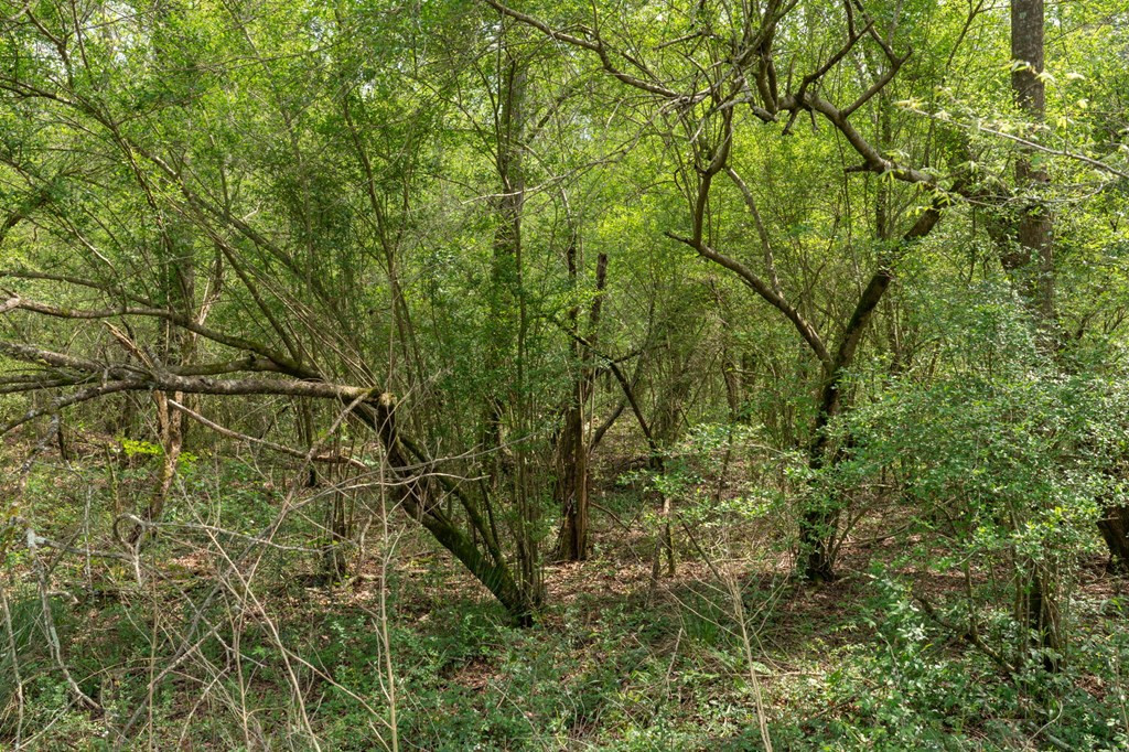 144 Don Curt Boulevard Property Photo 56