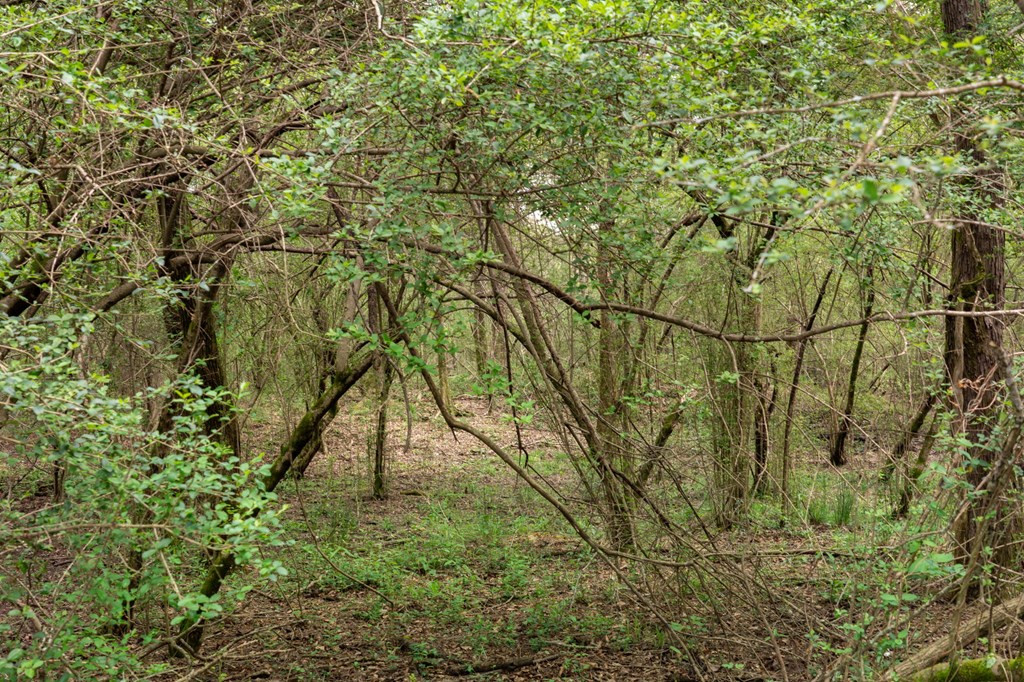 144 Don Curt Boulevard Property Photo 57