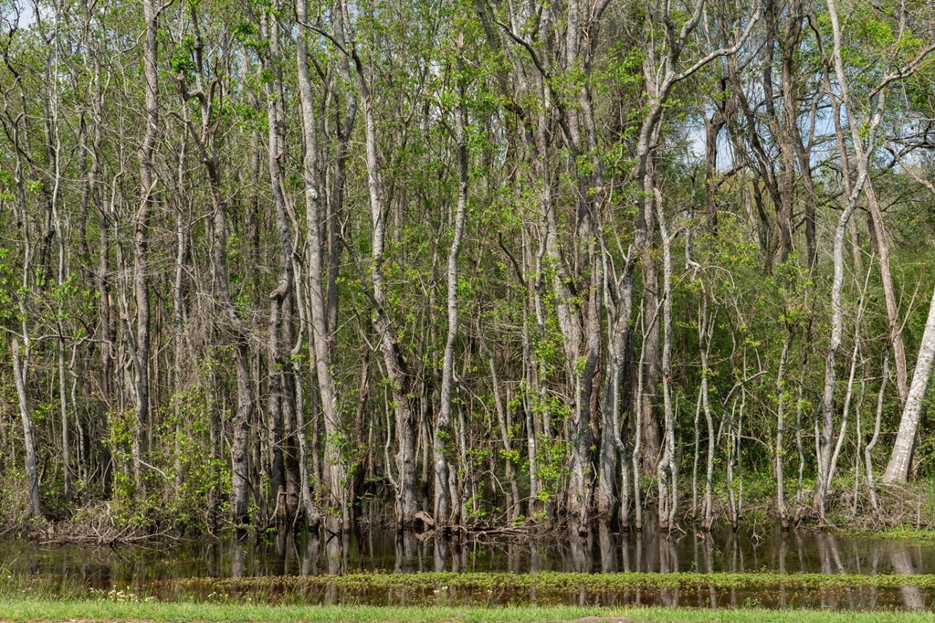 144 Don Curt Boulevard Property Photo 58